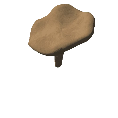 Big mushroom 4 (1,764 tris)